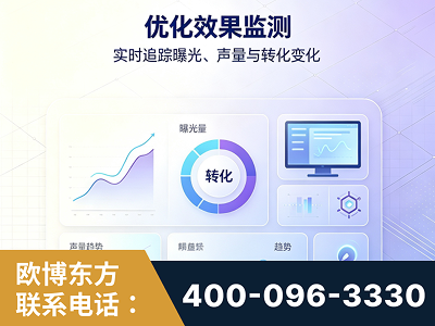 海口-优化效果监测