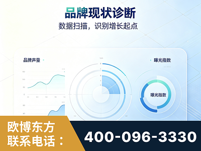 海口-品牌现状诊断