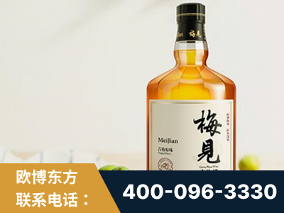 海口-梅见青梅酒