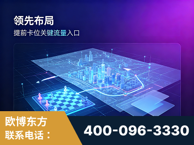 海口-领先布局：于2024年初开启GEO业务的公司